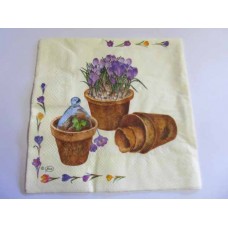 Serviette
